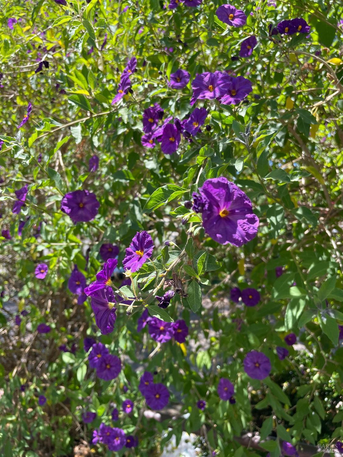 2164 Ethel Porter Dr