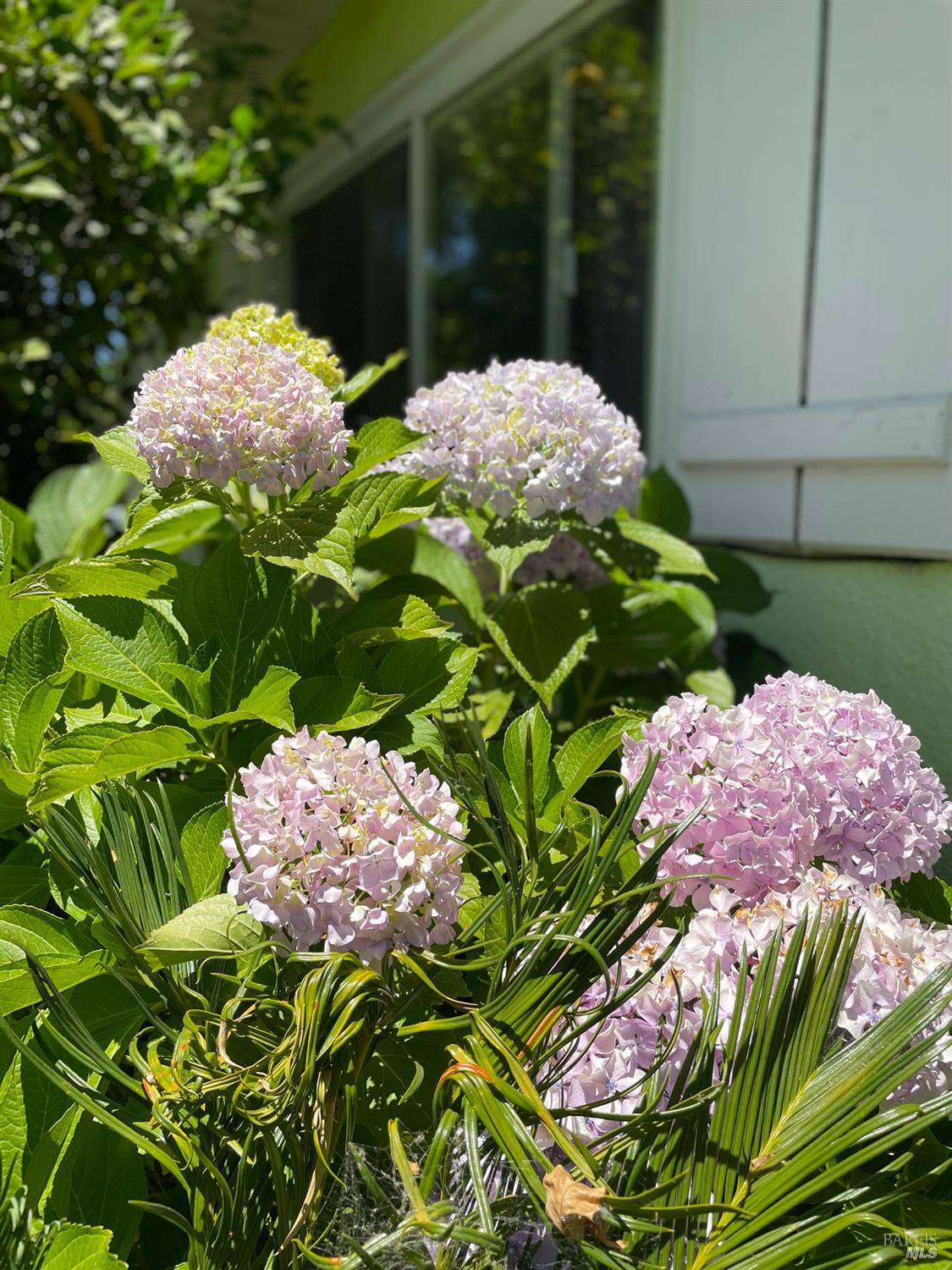 2164 Ethel Porter Dr