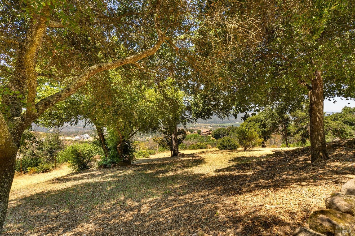 504 White Cottage Rd S