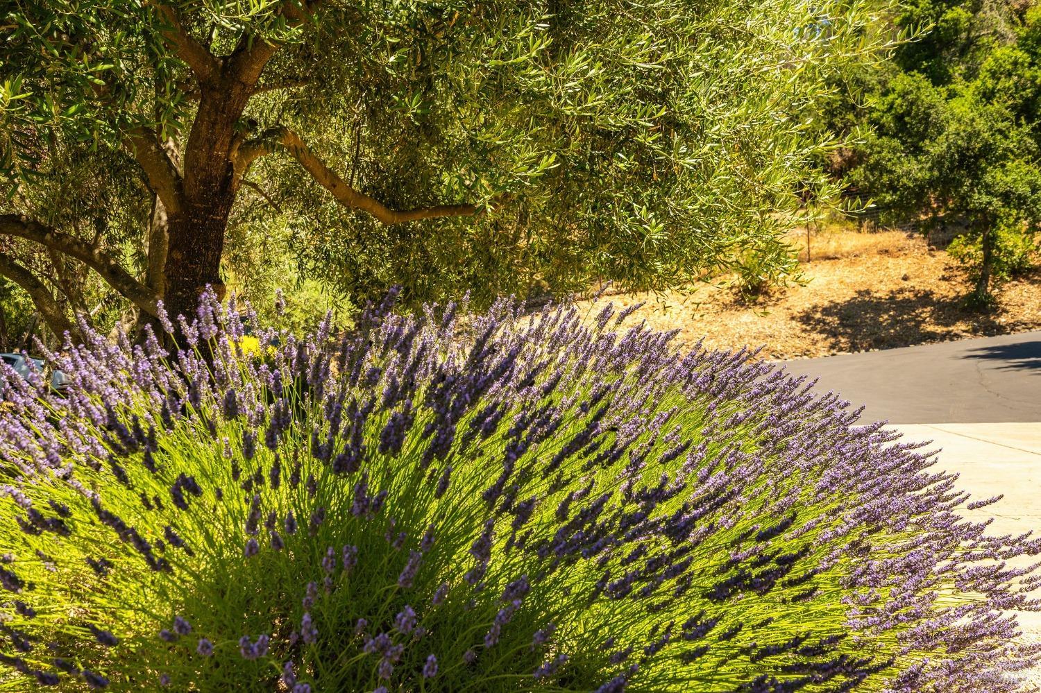 504 White Cottage Rd S