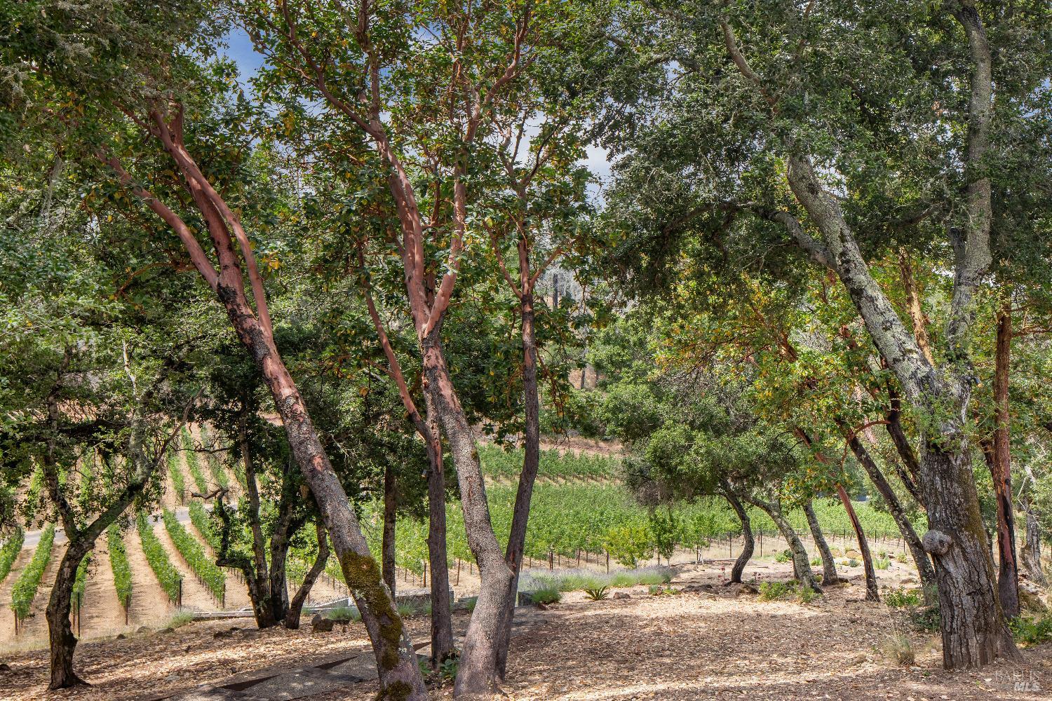 232 N Fork Crystal Springs Rd