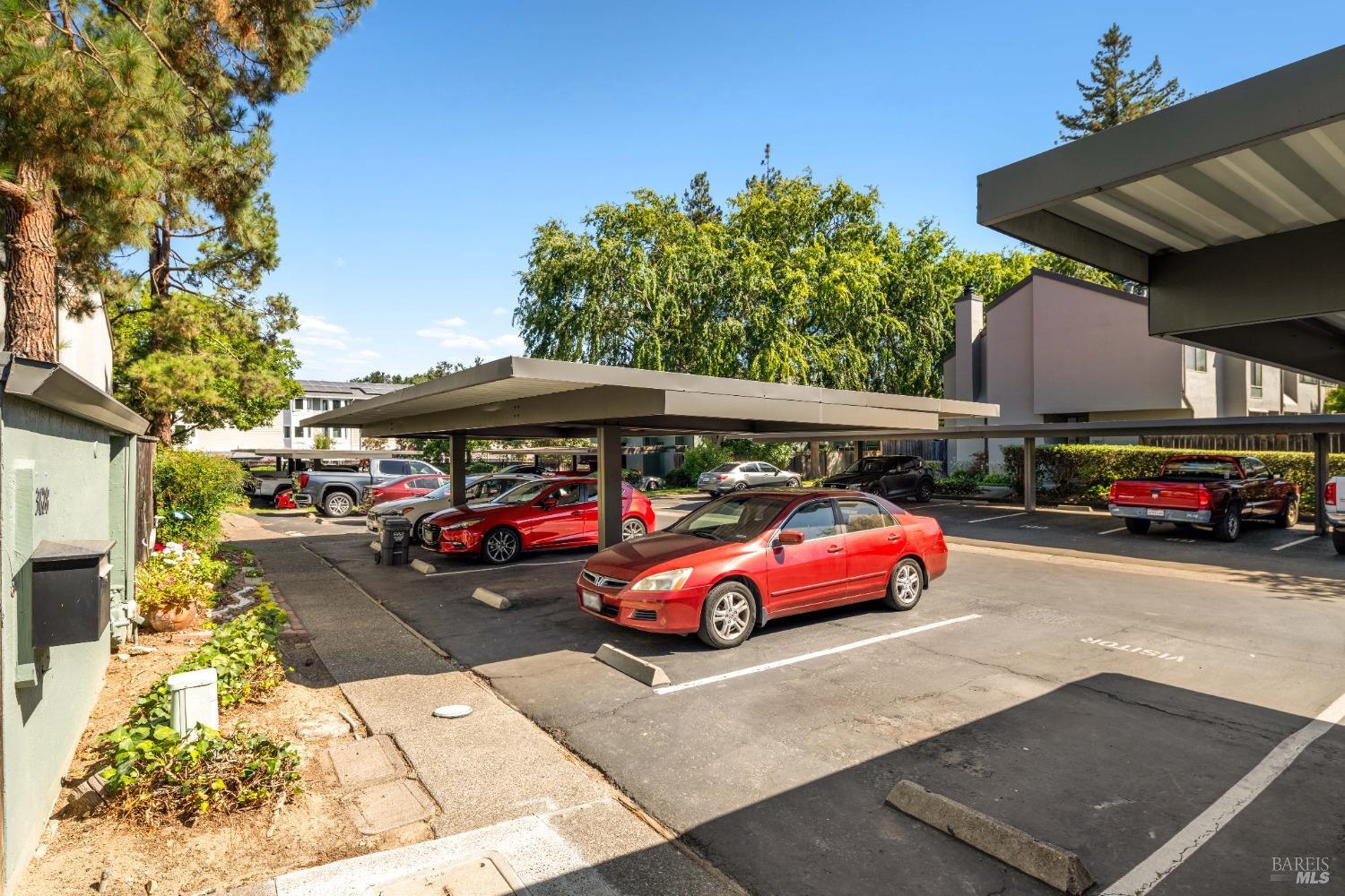 3628 Shelter Creek Dr