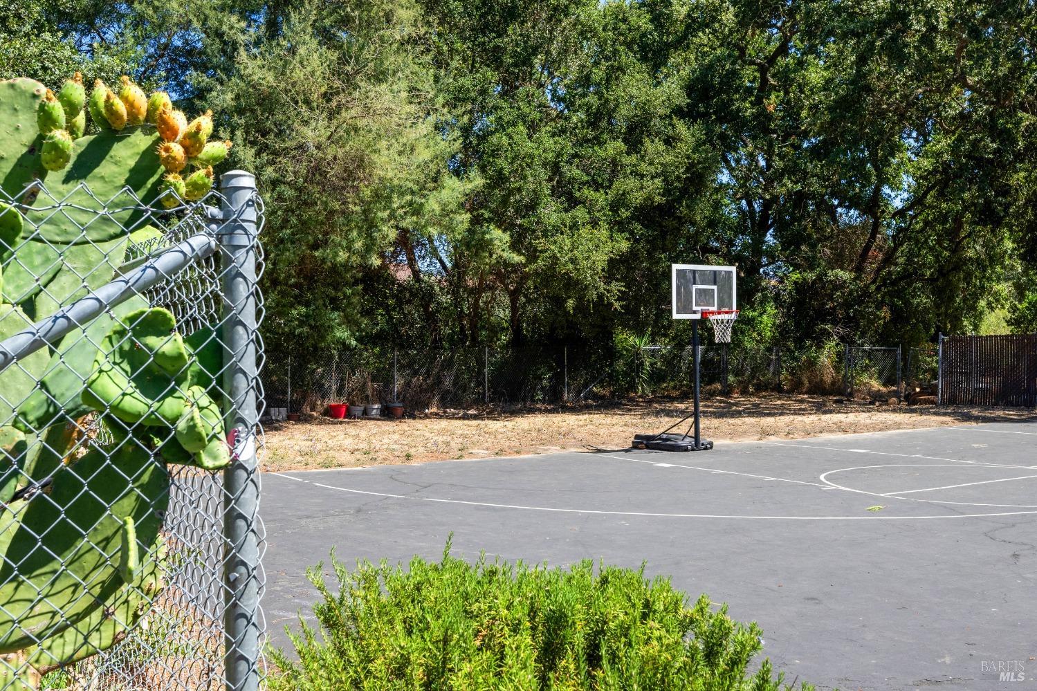 3628 Shelter Creek Dr