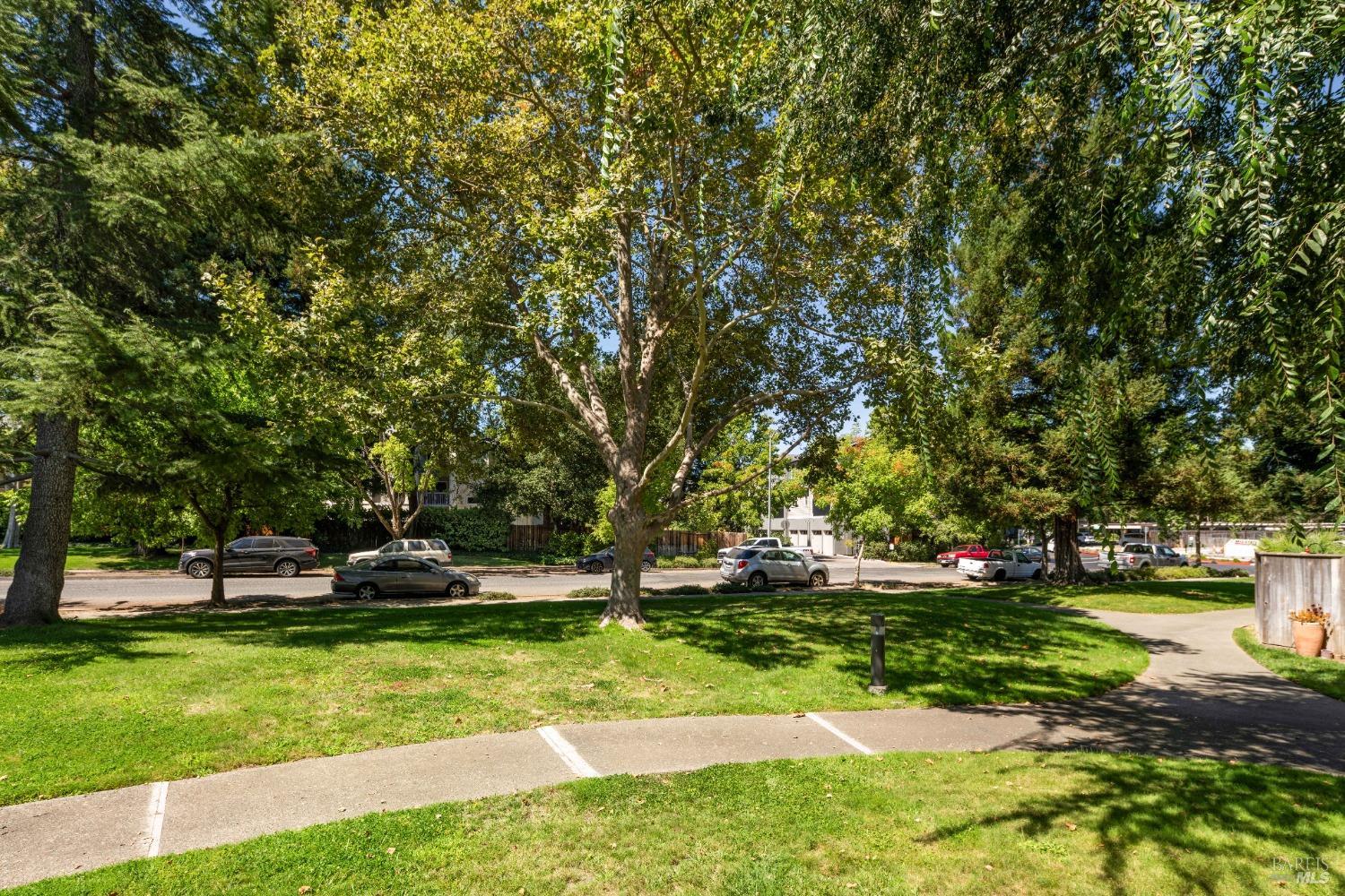 3628 Shelter Creek Dr