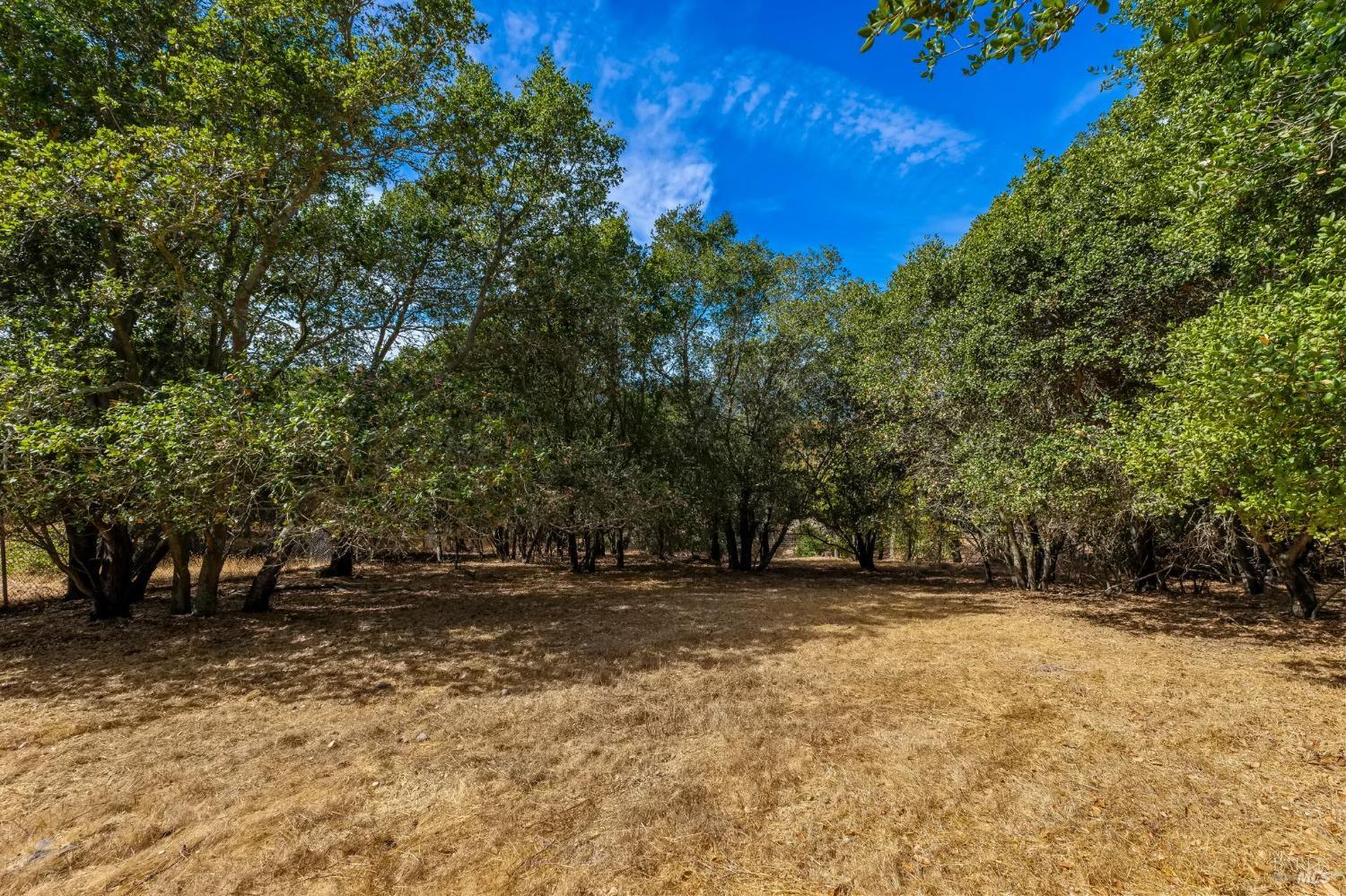 532 Montecito Blvd