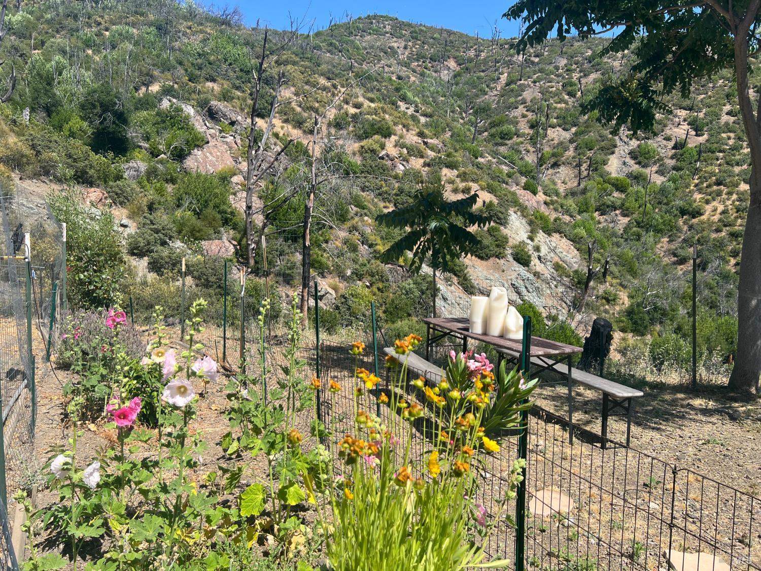 1987 Capell Valley Rd