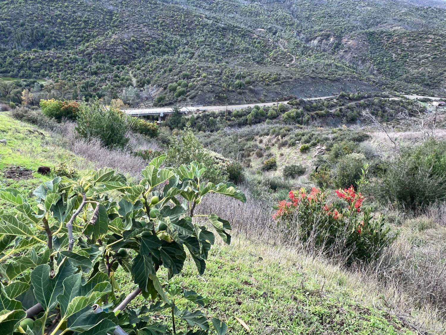 1987 Capell Valley Rd