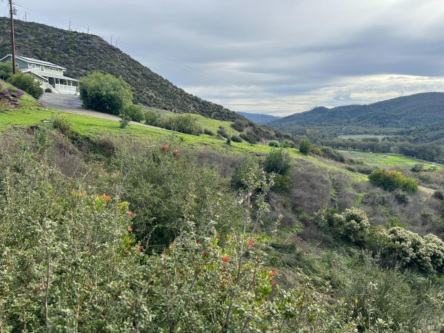 1987 Capell Valley Rd