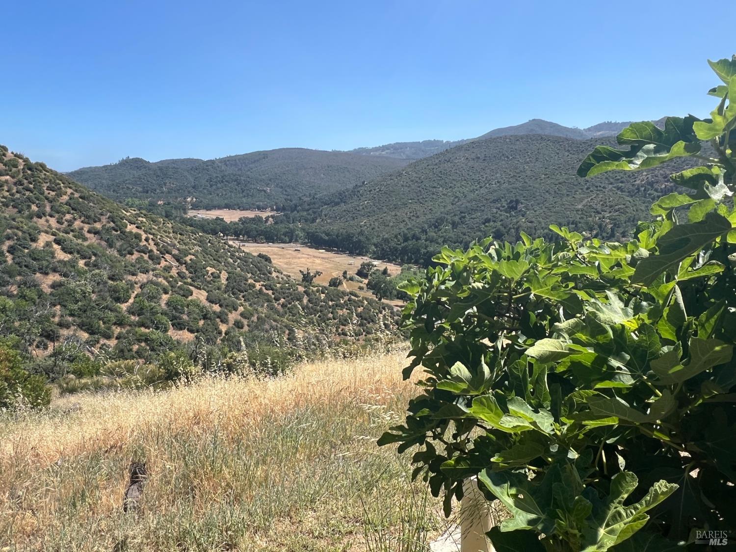 1987 Capell Valley Rd