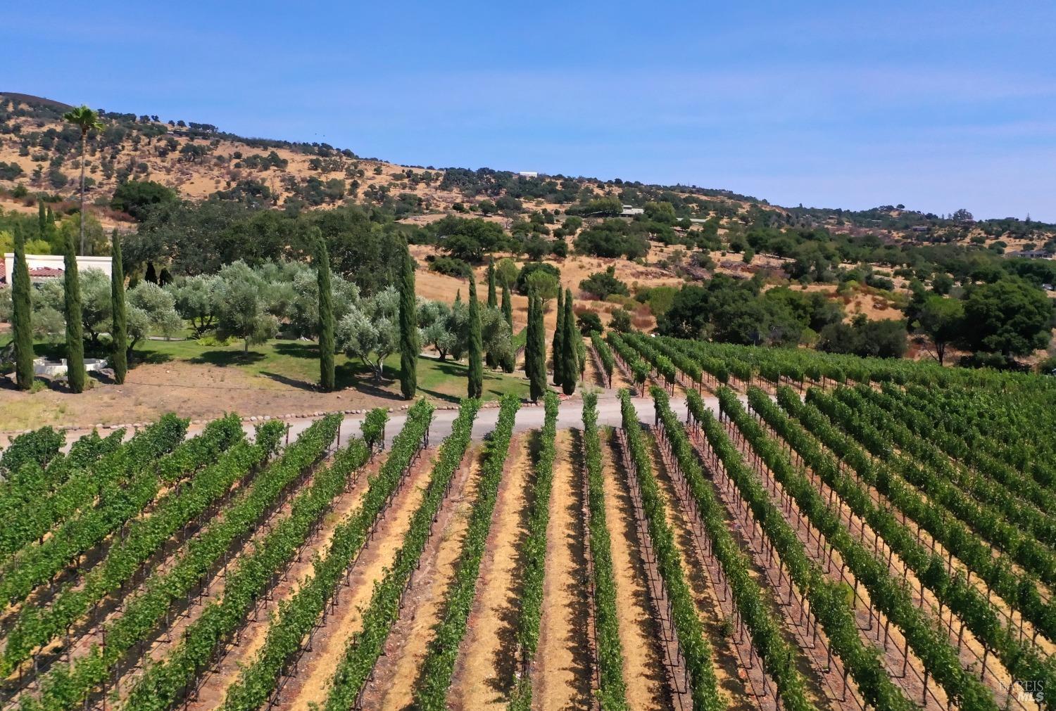 2275 Old Soda Springs Rd