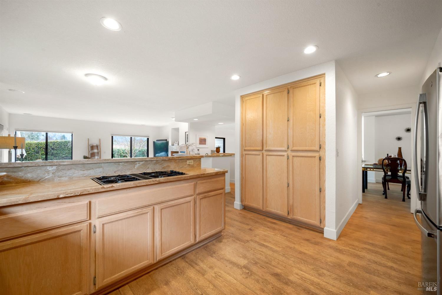 209 Silverado Springs Dr