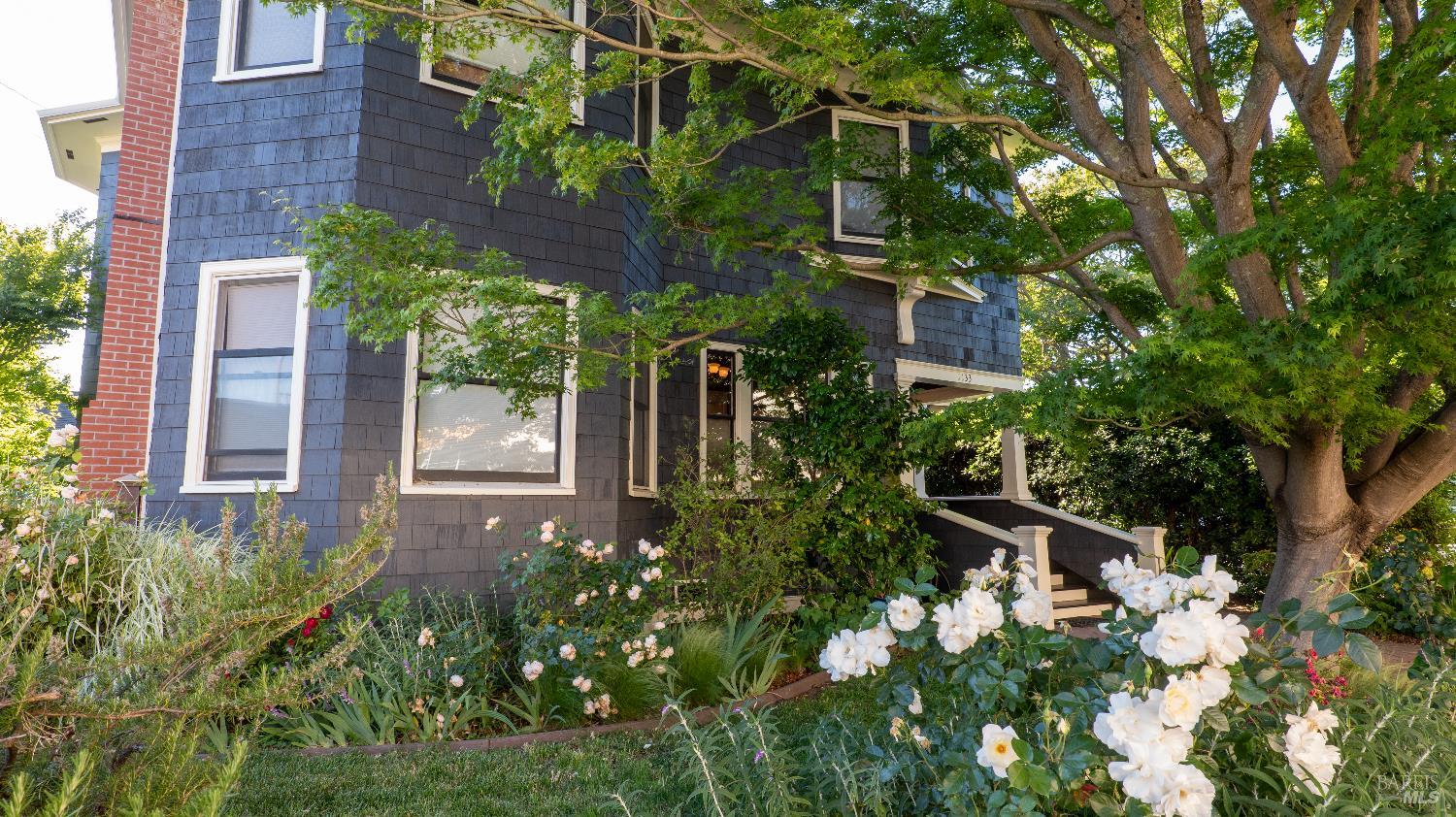 1133 Seminary St
