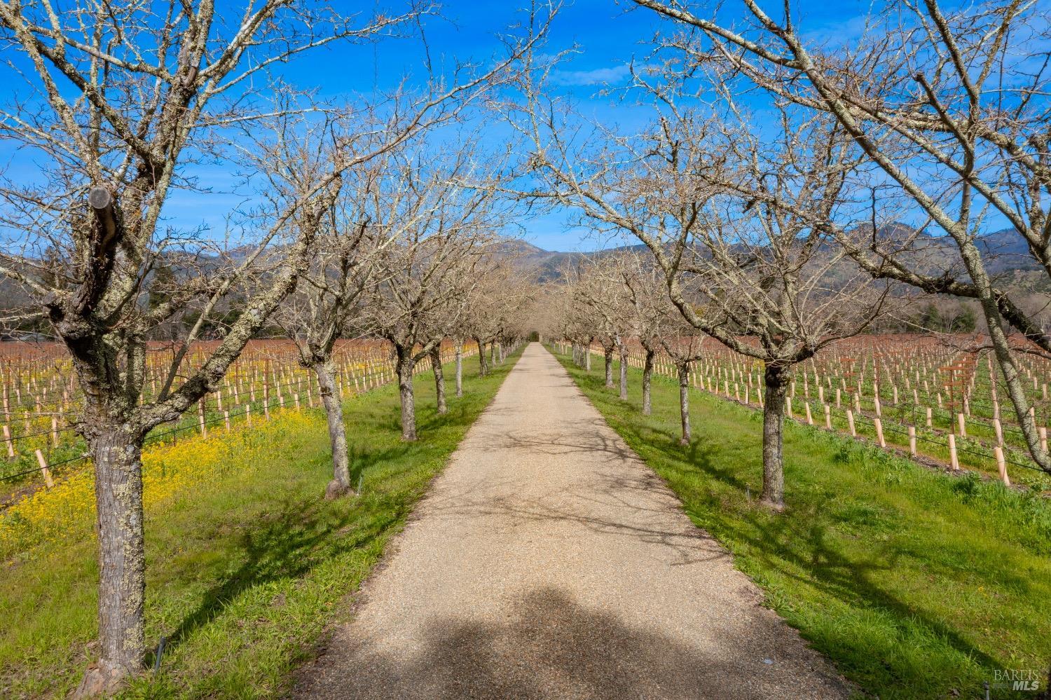 4560 Saint Helena Hwy