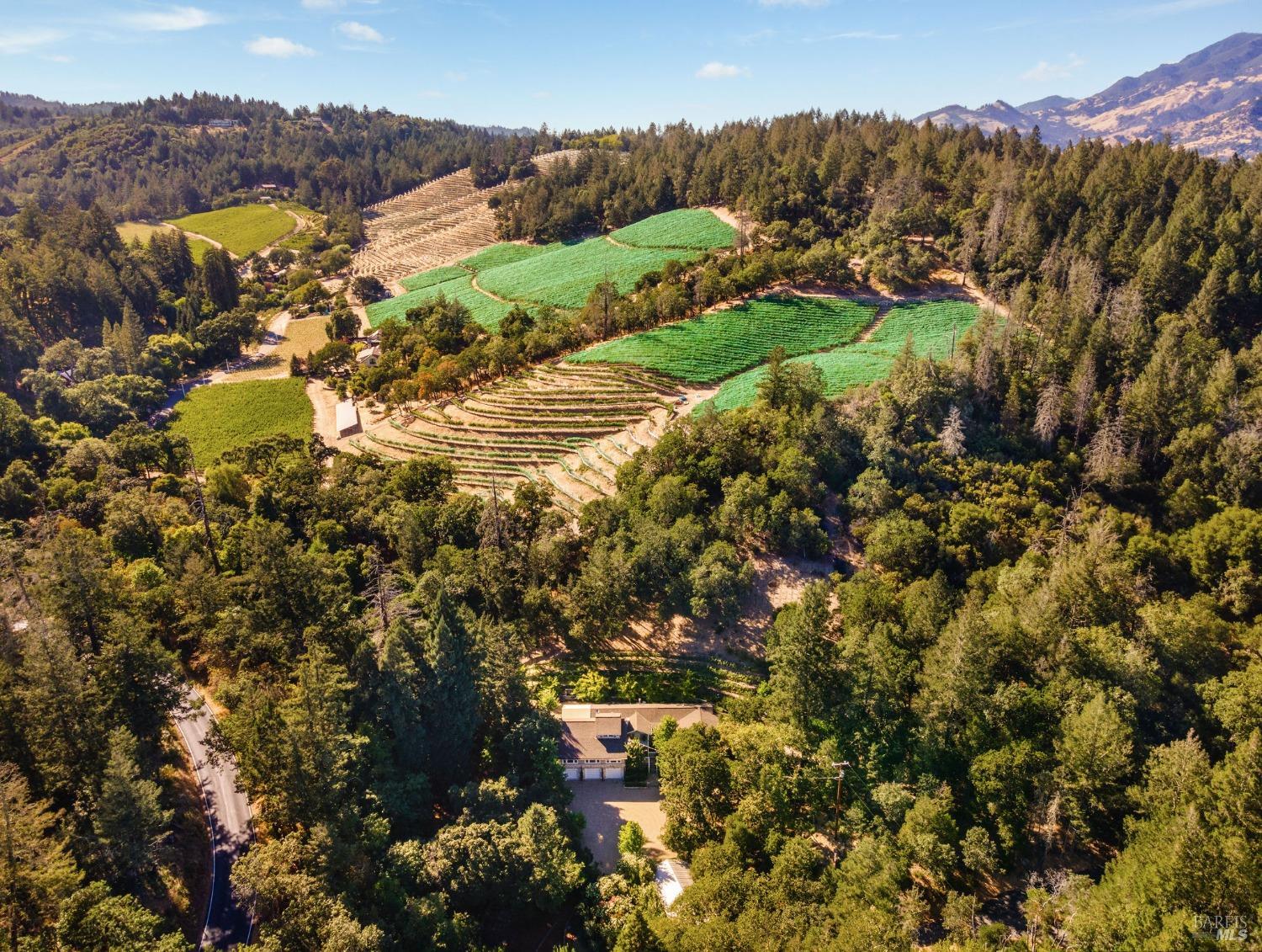 1450 Diamond Mountain Rd