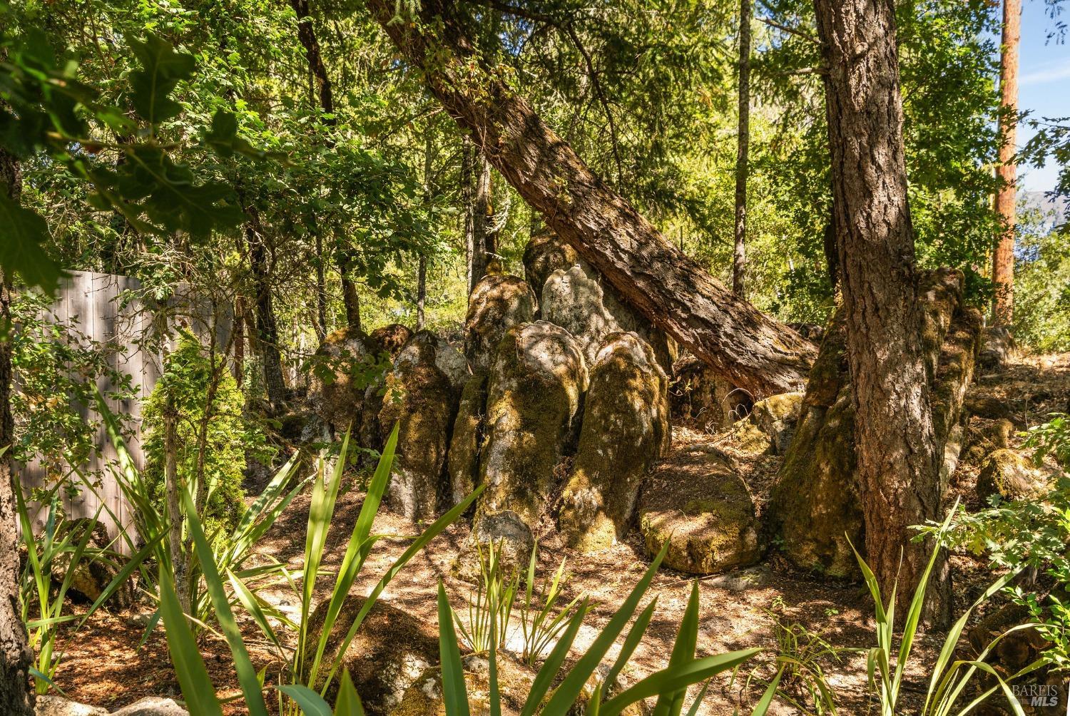 1450 Diamond Mountain Rd