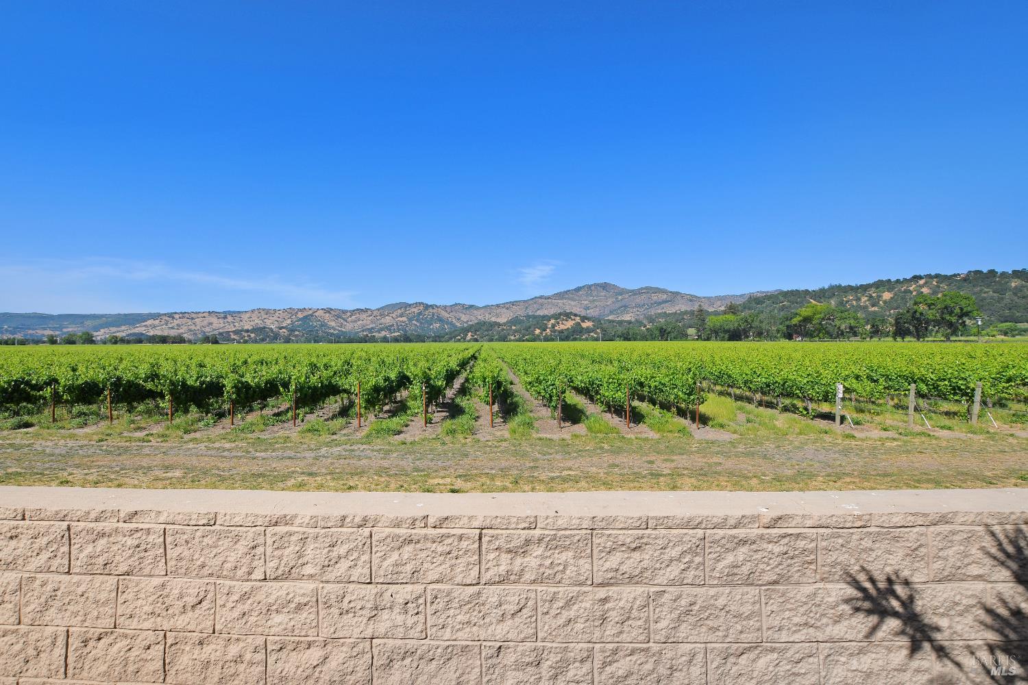 6468 Washington St #141