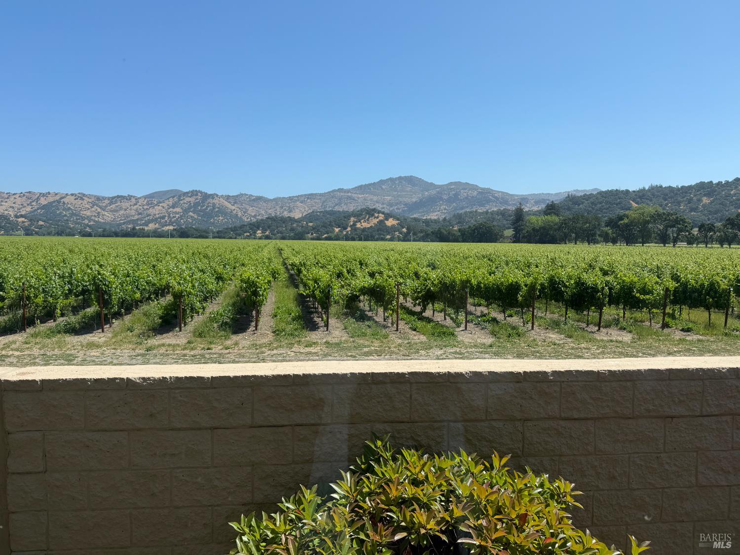 6468 Washington St #141