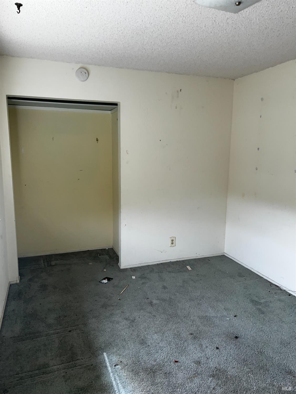4024 Tokay Dr