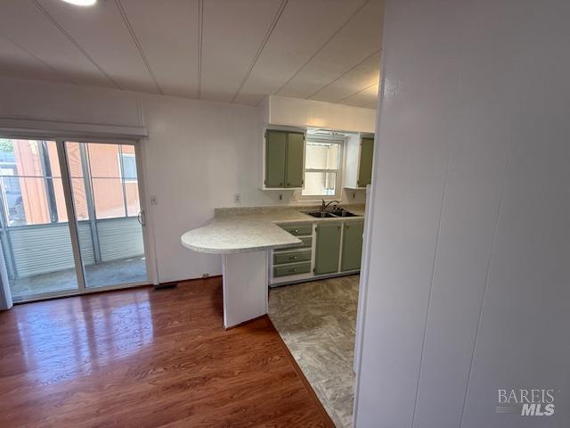 118 PEPITO Dr