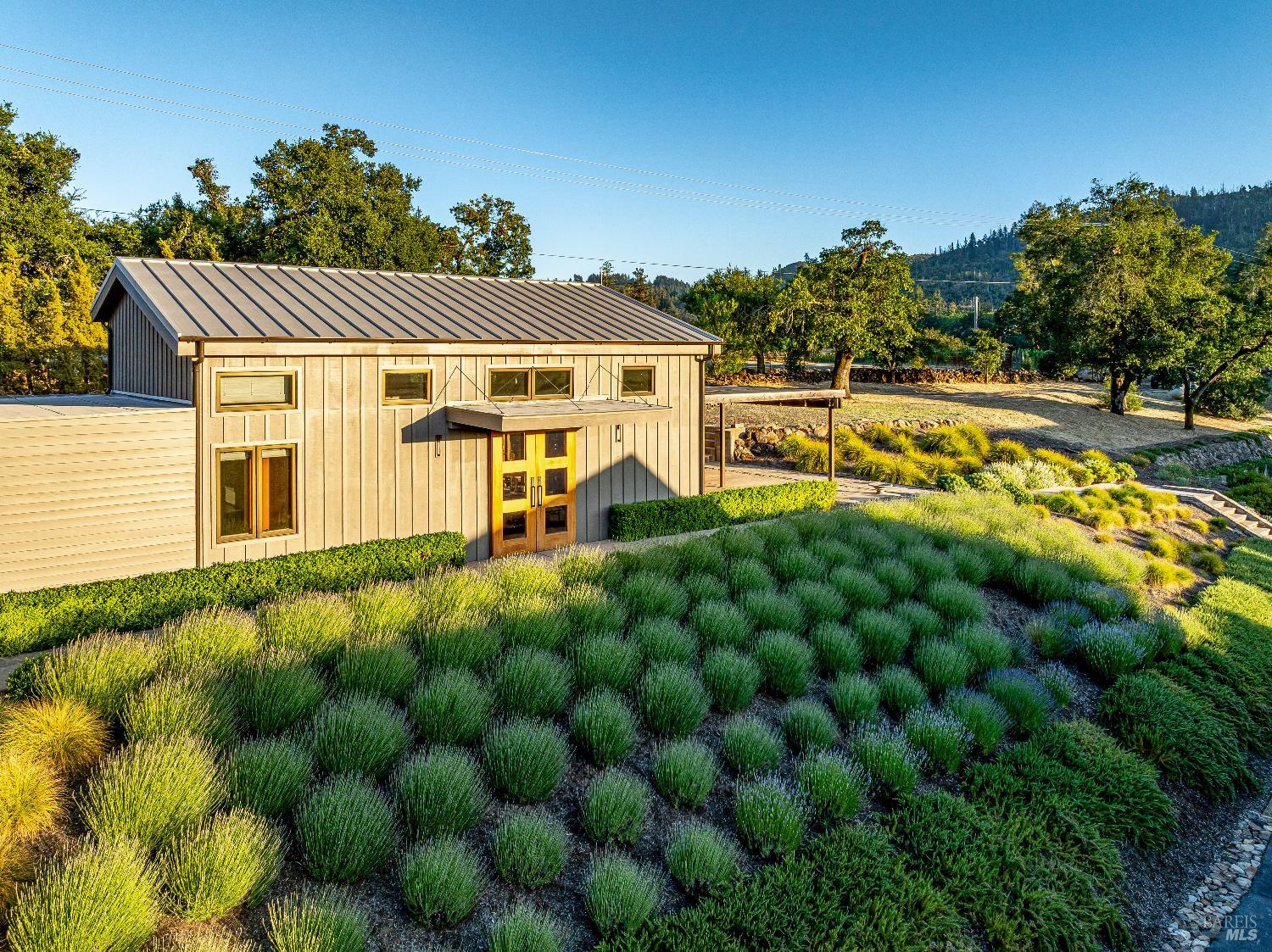 3533 State Highway 128