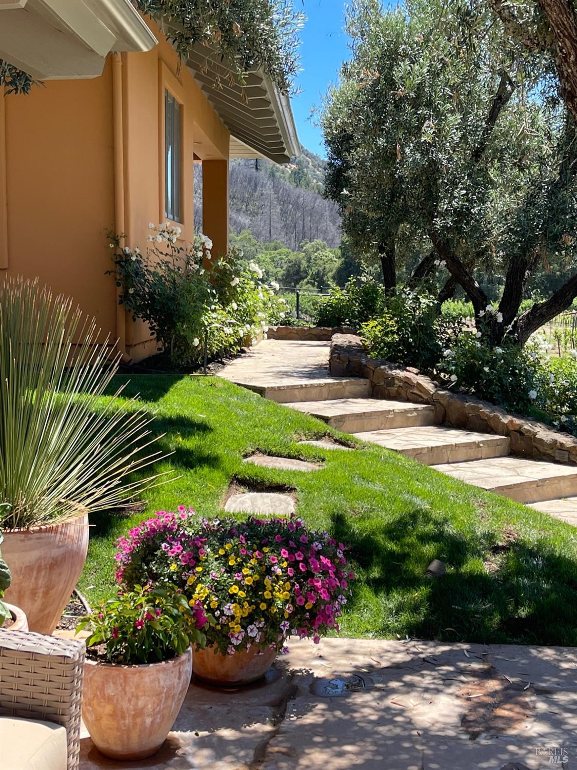 8320 Franz Valley Rd