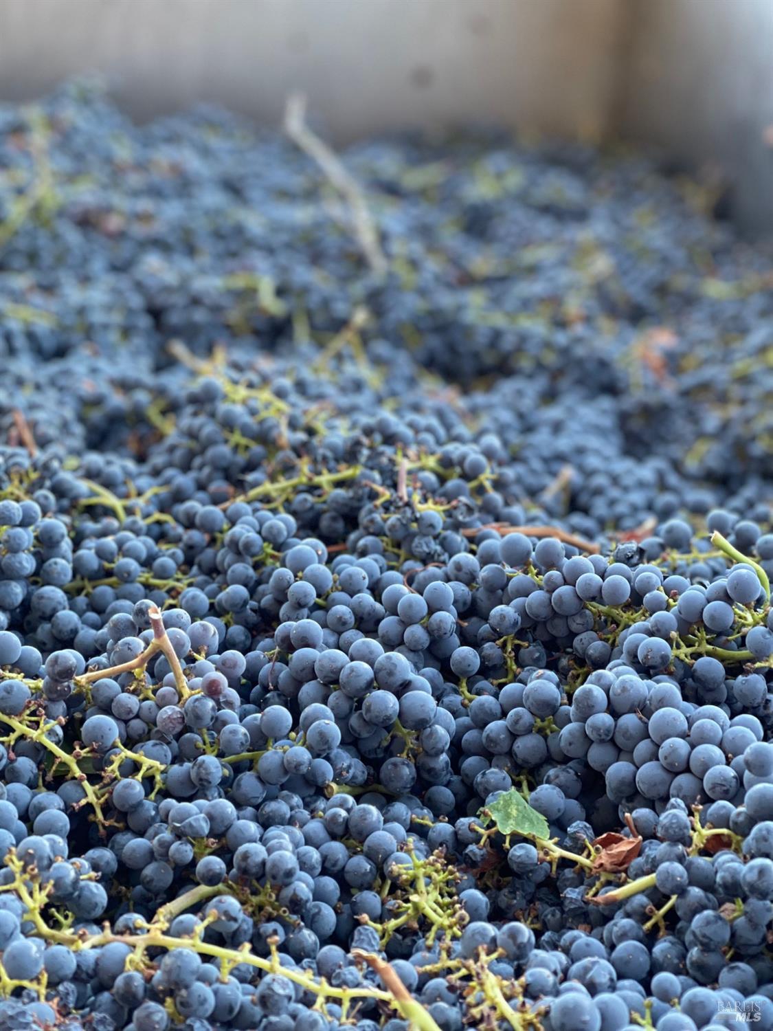 8320 Franz Valley Rd