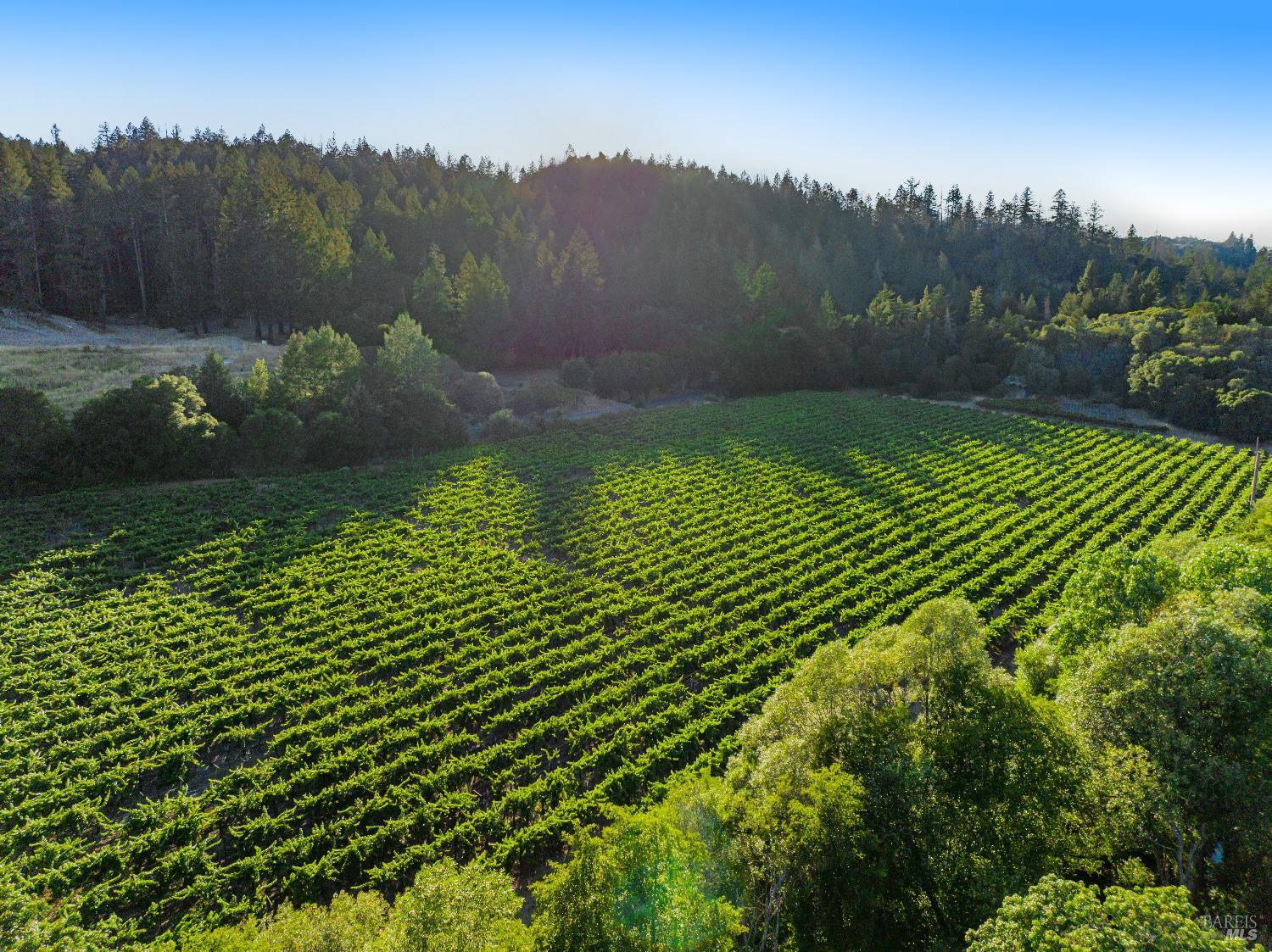 8320 Franz Valley Rd