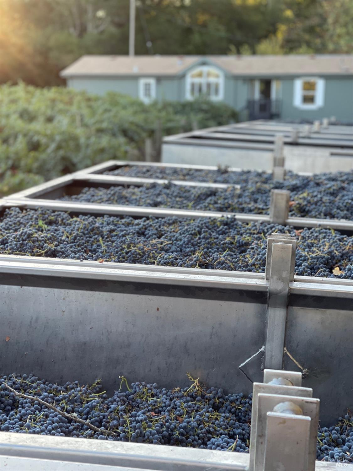 8320 Franz Valley Rd