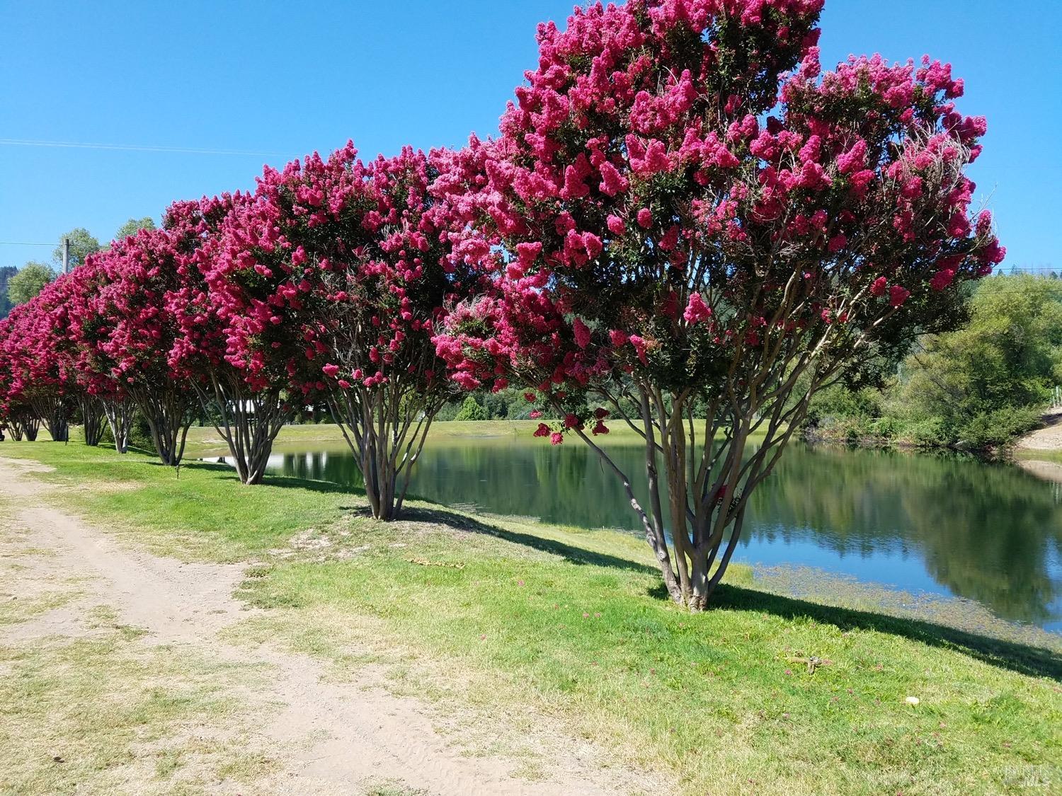 8320 Franz Valley Rd