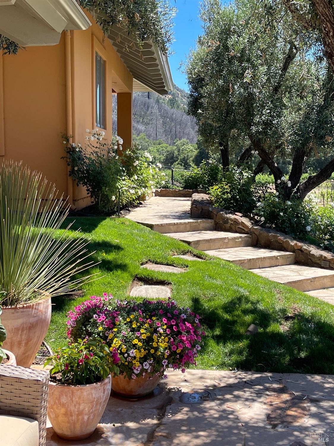 8320 Franz Valley Rd