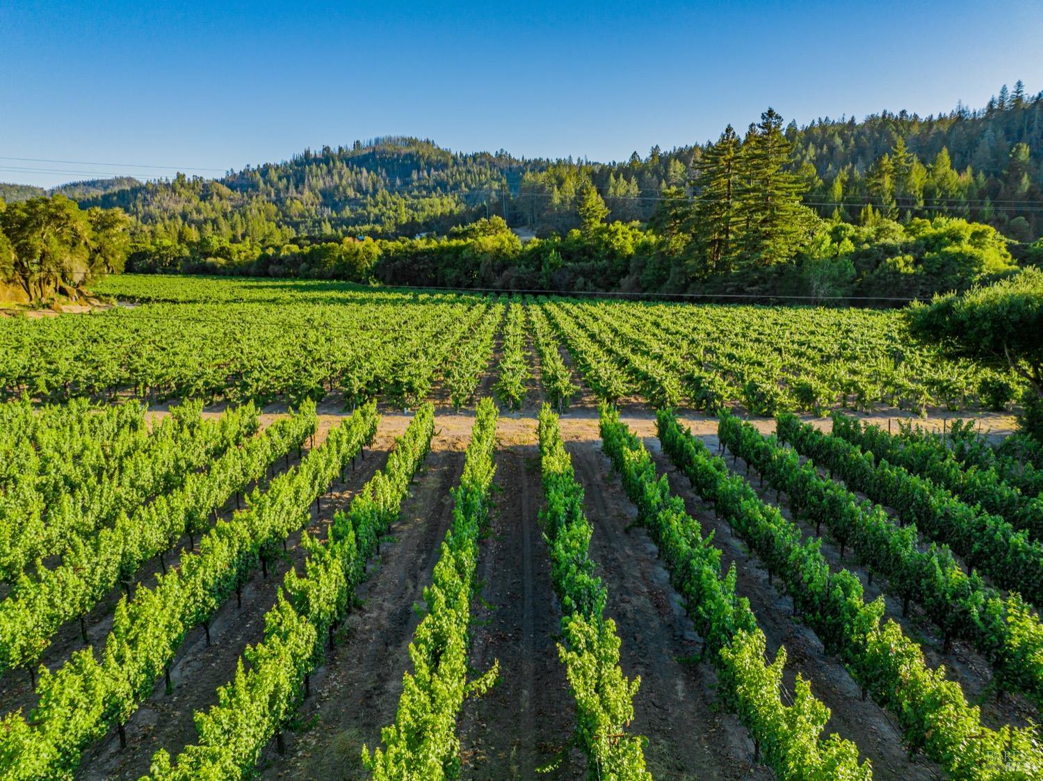 8320 Franz Valley Rd