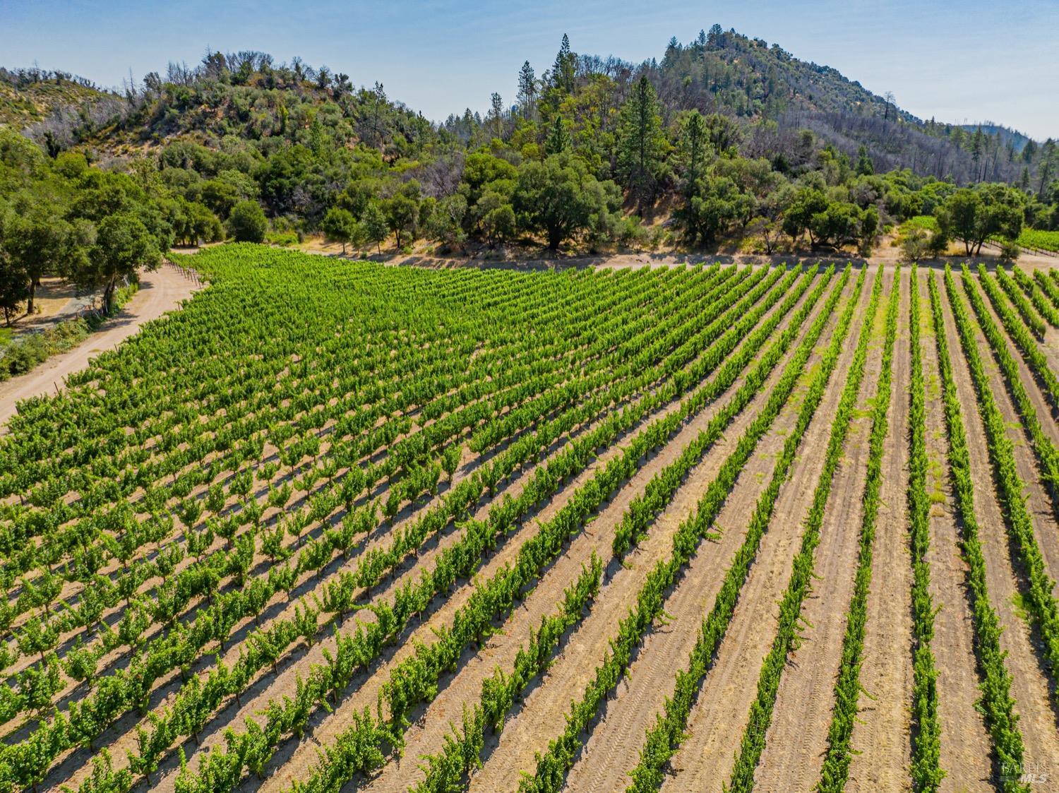 8320 Franz Valley Rd