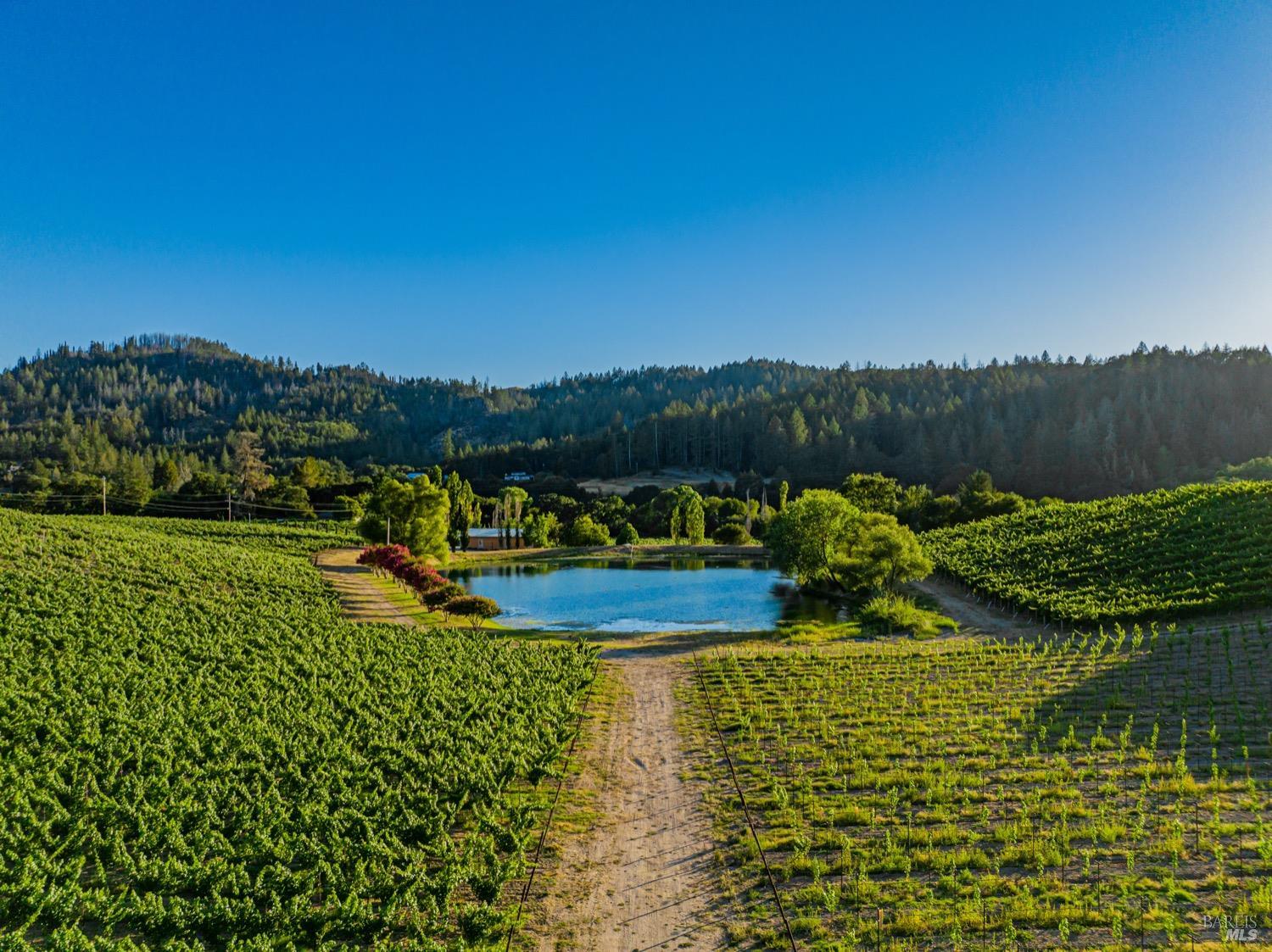 8320 Franz Valley Rd