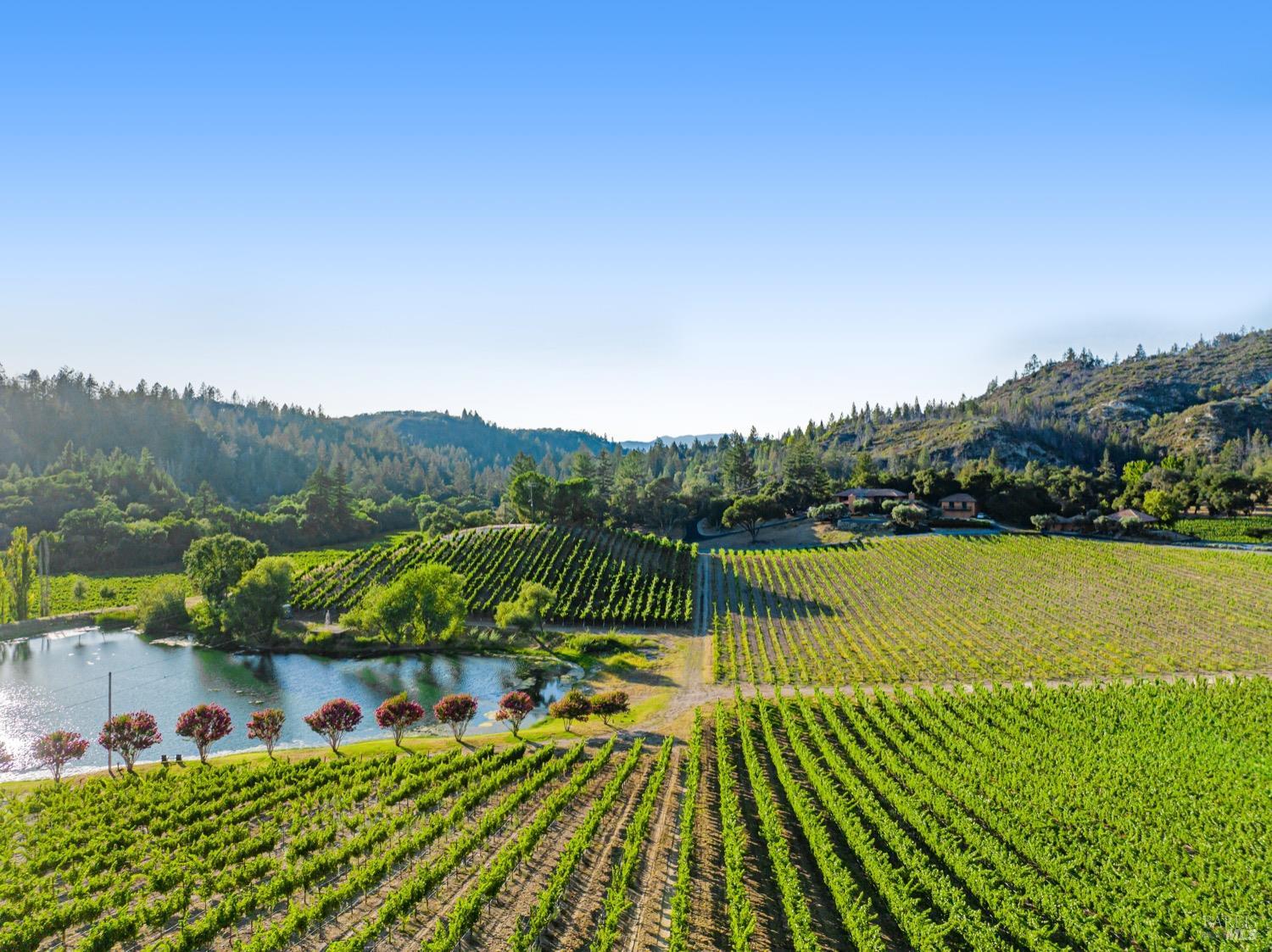 8320 Franz Valley Rd