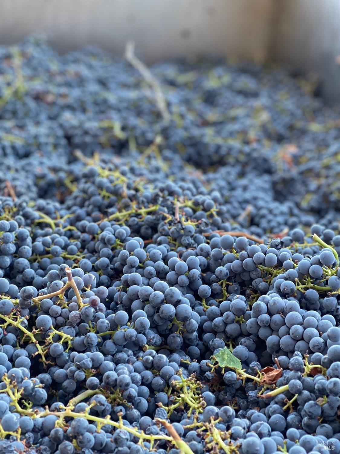 8320 Franz Valley Rd