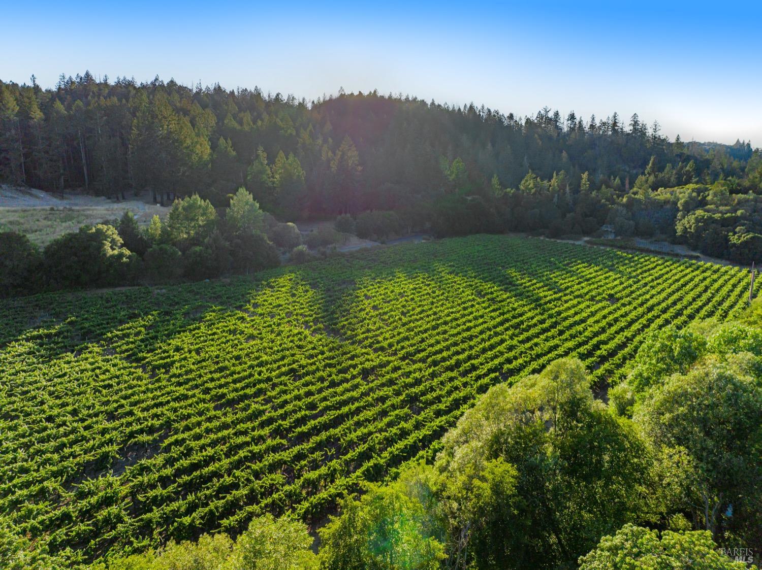 8320 Franz Valley Rd