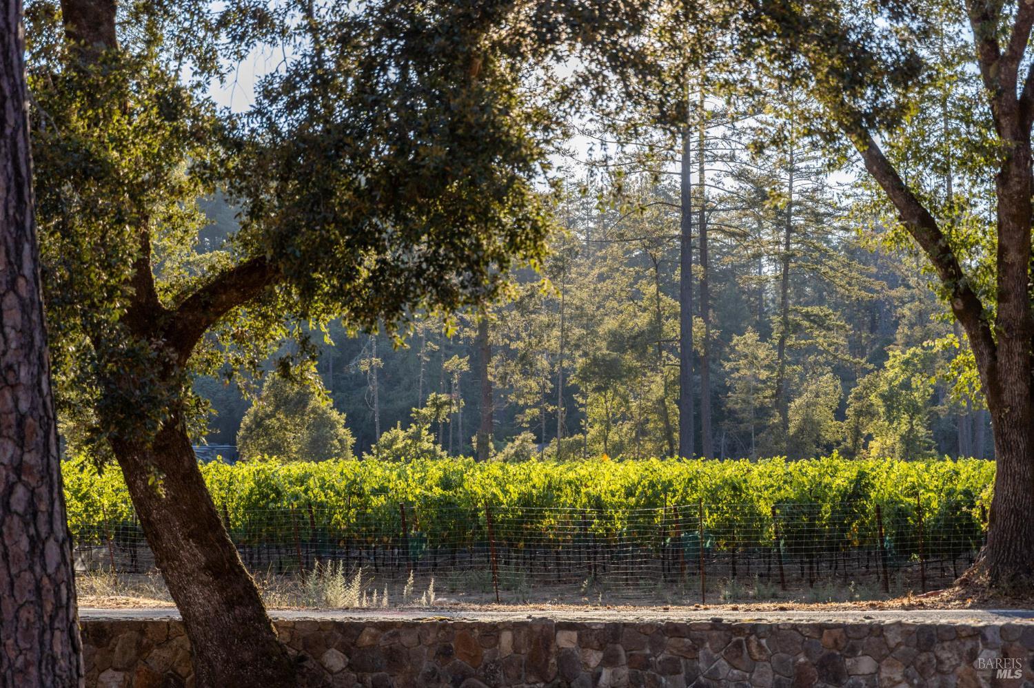 1050 White Cottage Rd N