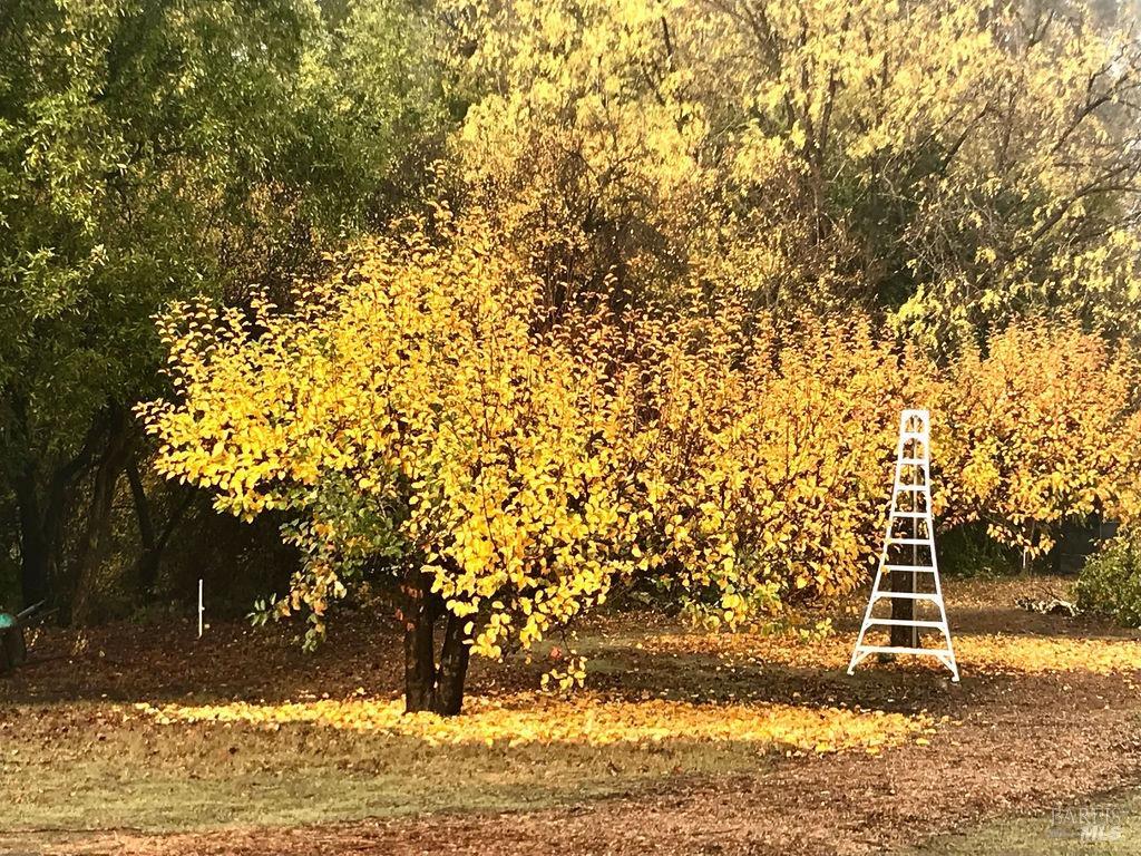 3061 Cuttings Wharf Rd