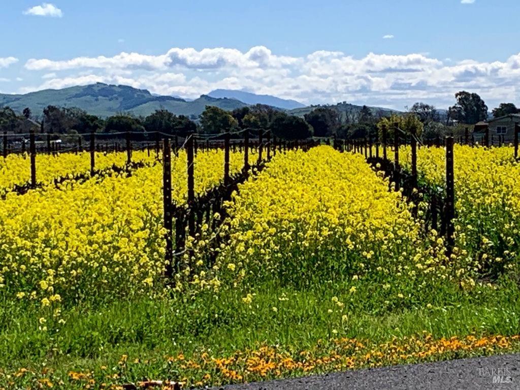 3061 Cuttings Wharf Rd