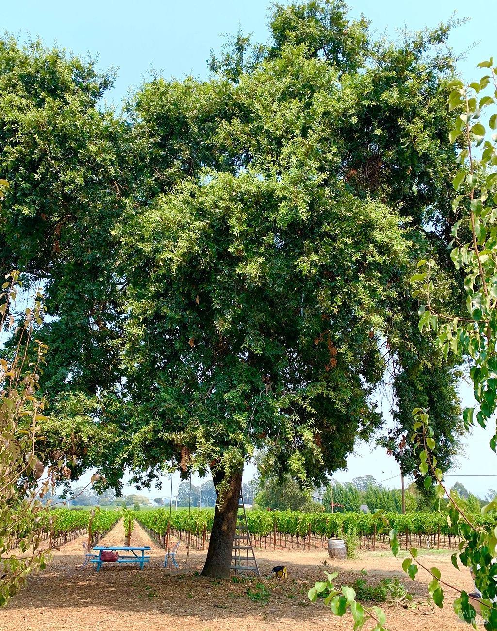 3061 Cuttings Wharf Rd