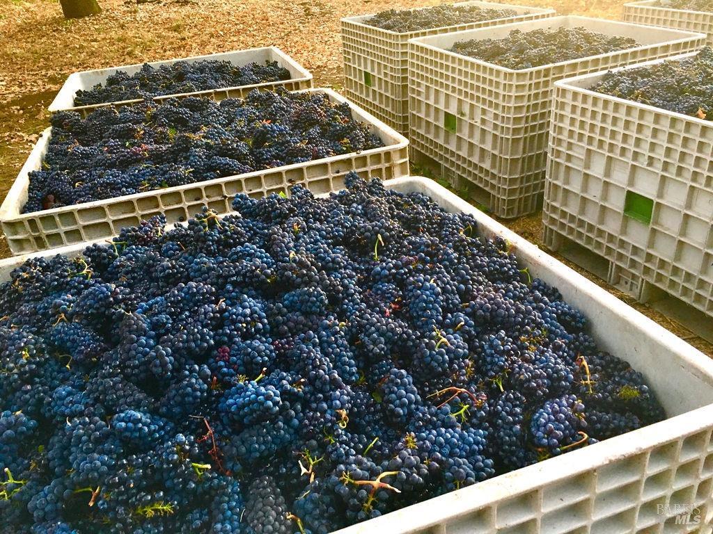 3061 Cuttings Wharf Rd