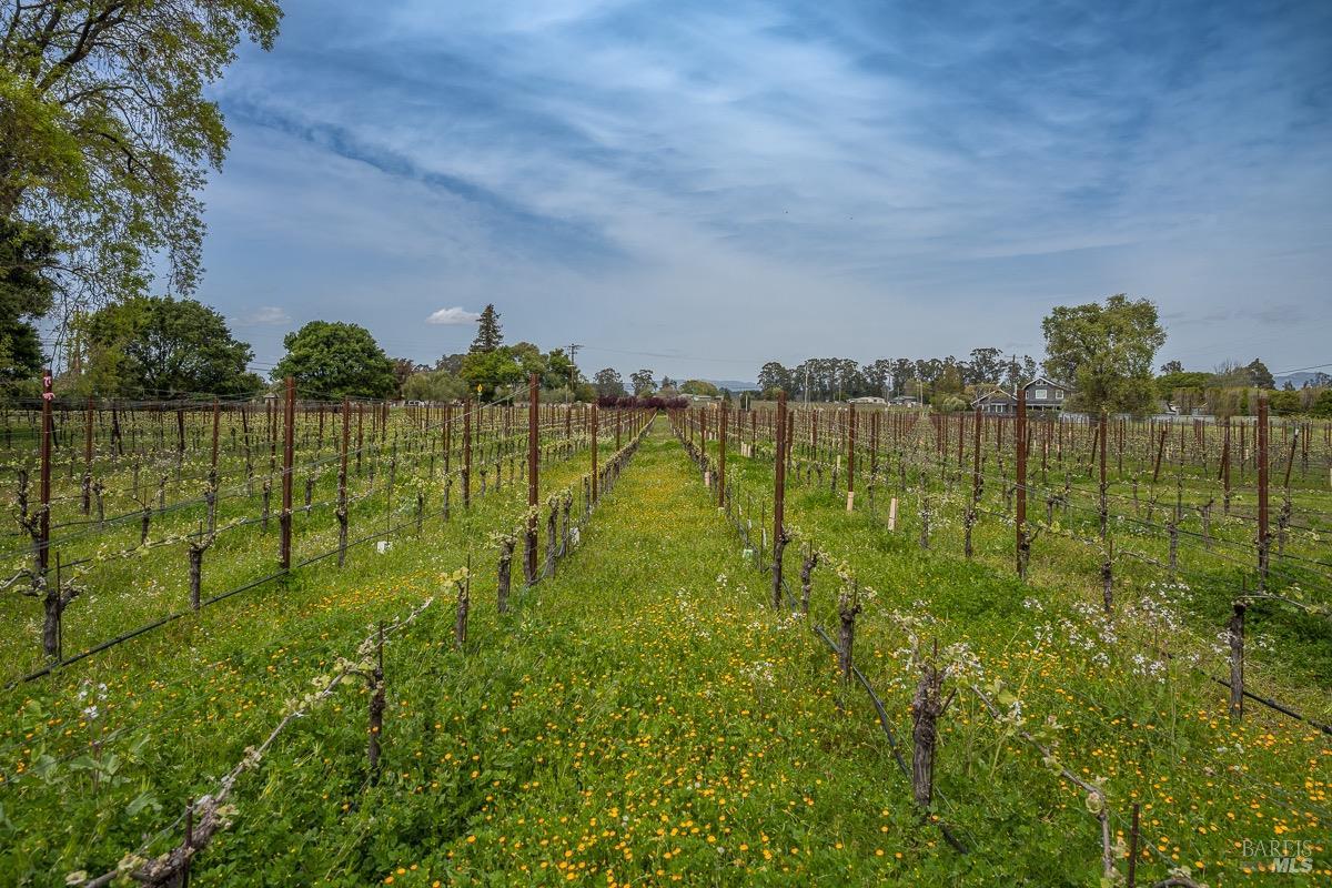 3061 Cuttings Wharf Rd