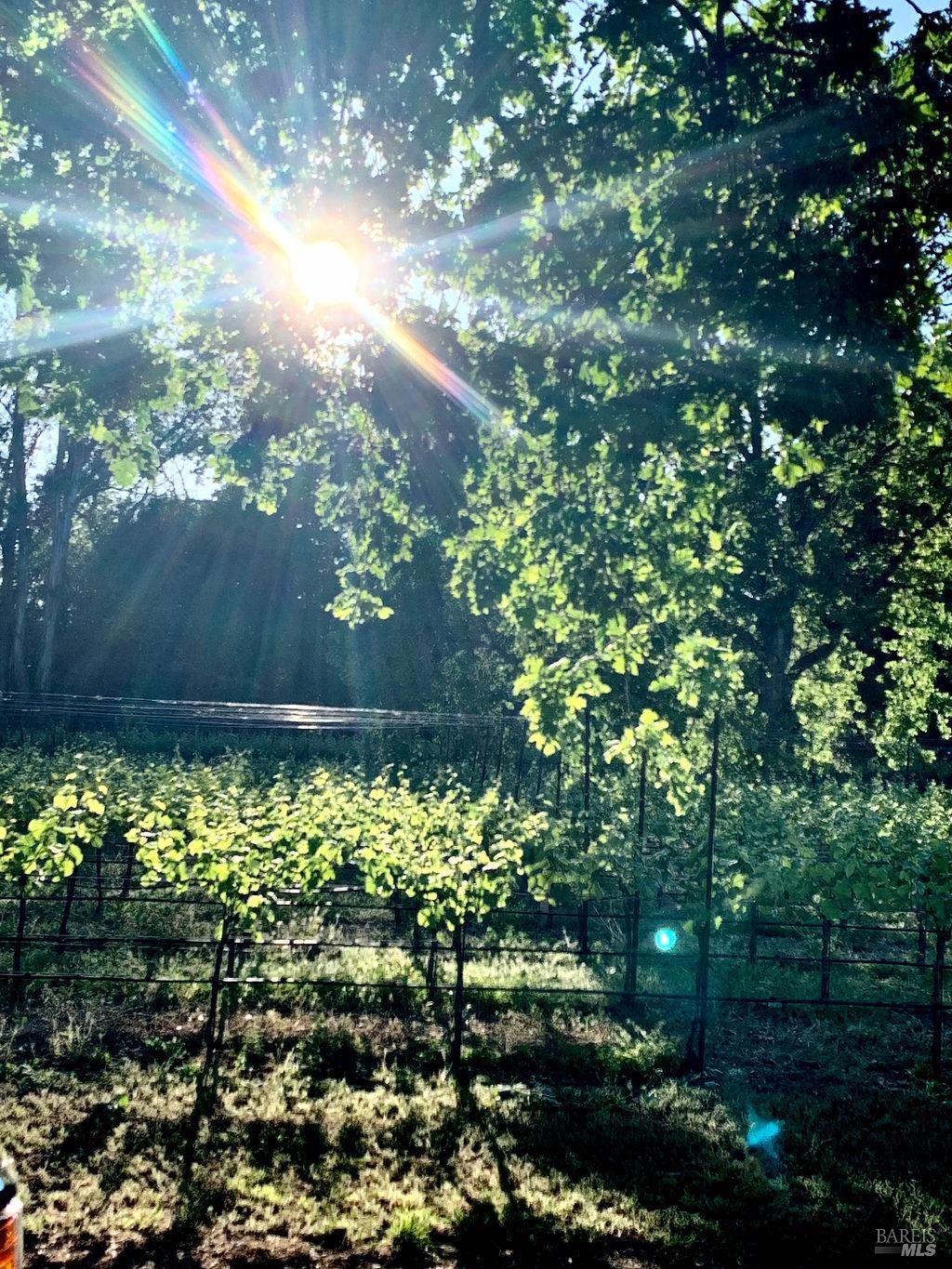 3061 Cuttings Wharf Rd