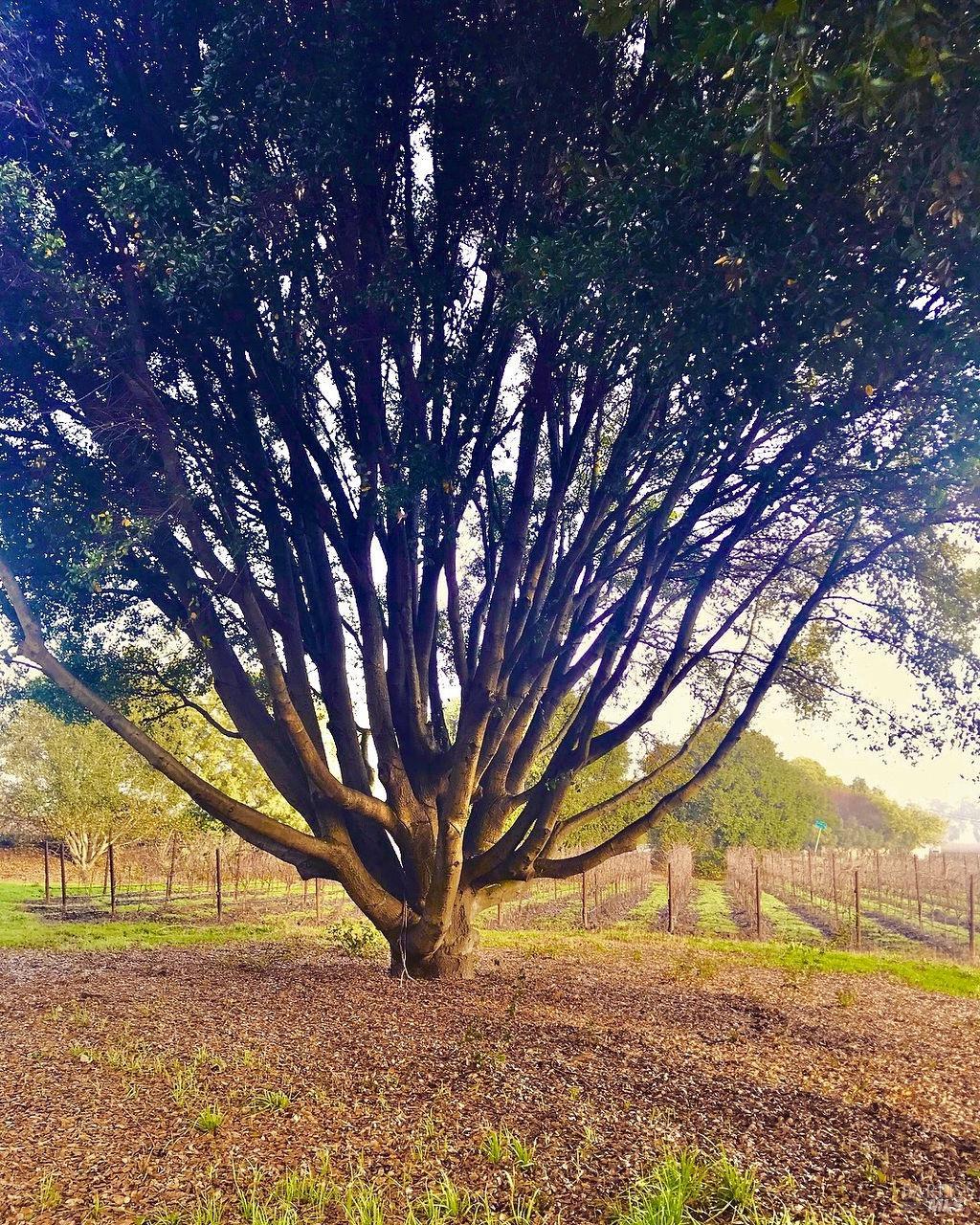 3061 Cuttings Wharf Rd