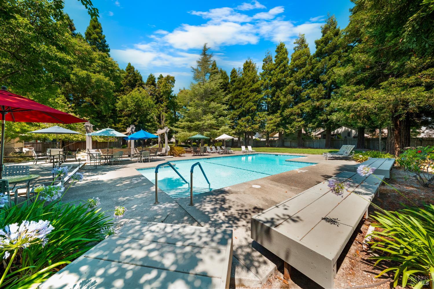 31 S Temelec Cir