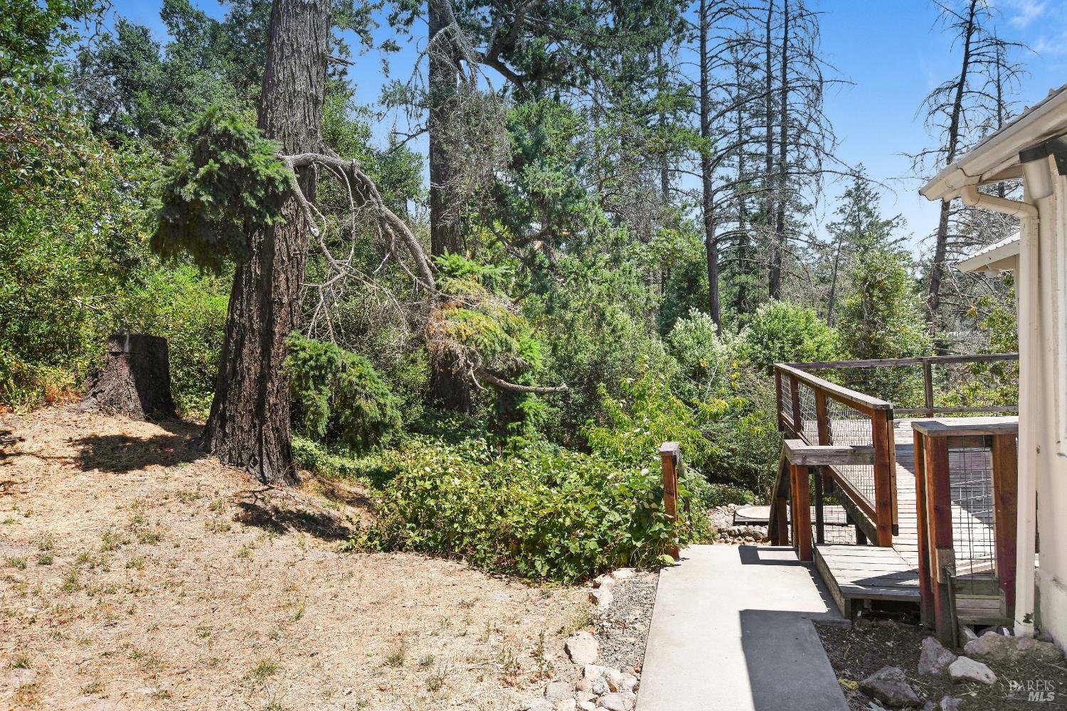193 Sky Oaks Dr