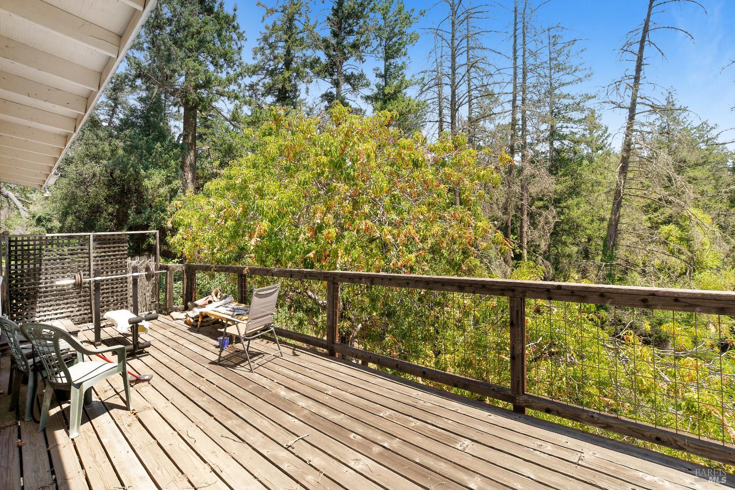 193 Sky Oaks Dr