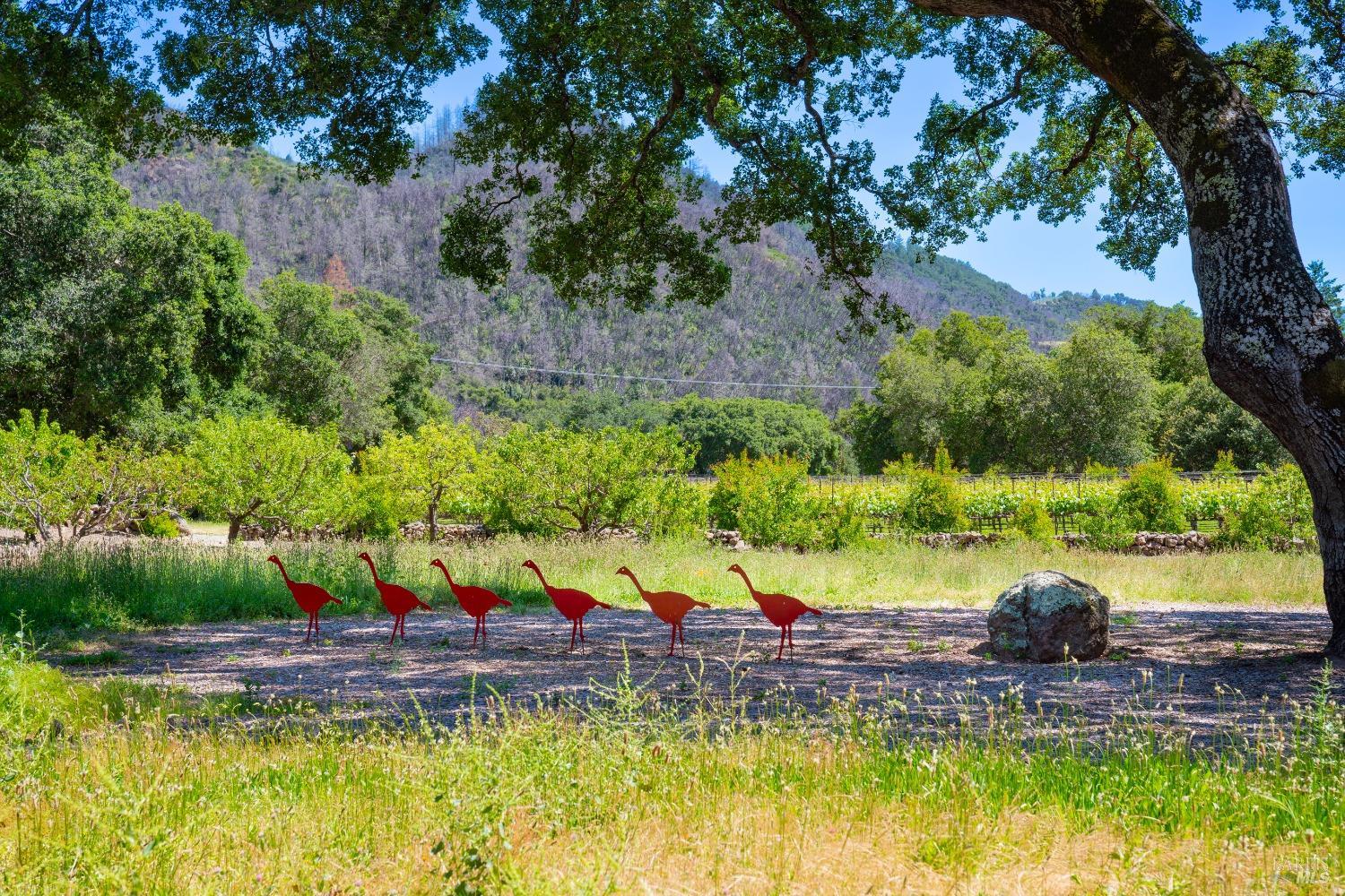 321 Dutch Henry Canyon Rd
