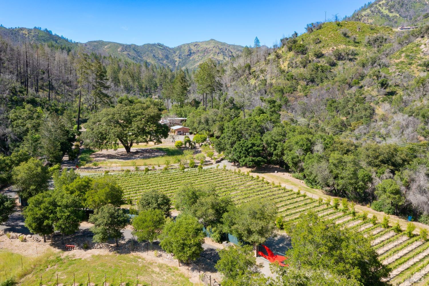 321 Dutch Henry Canyon Rd