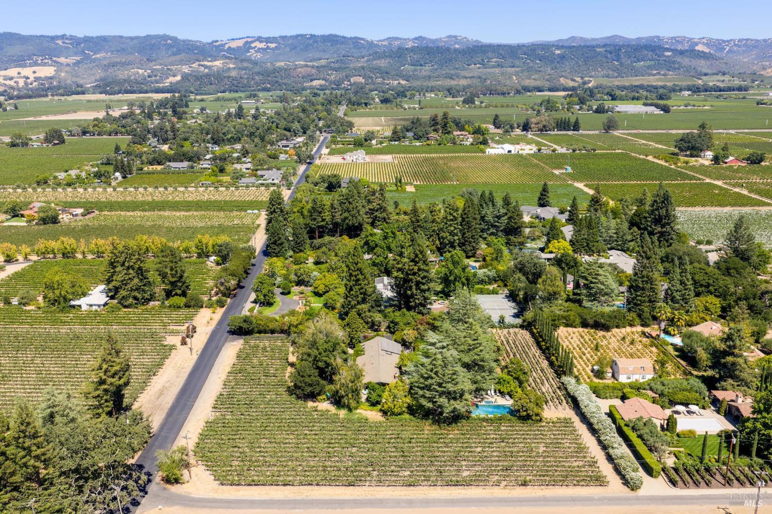1819 Zinfandel Lane